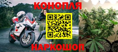 гидра Гагарин