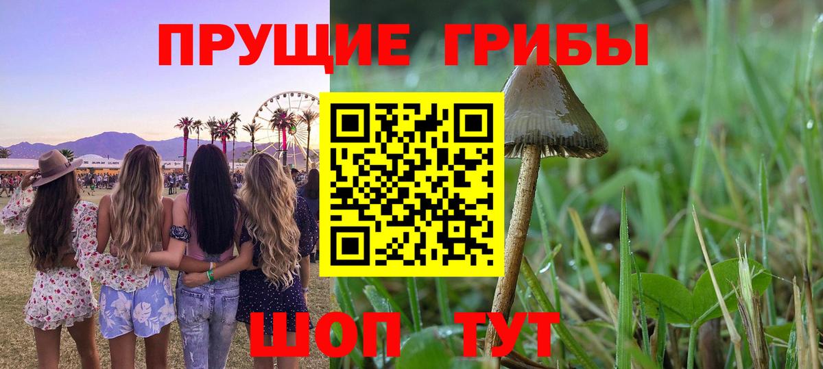 Галлюциногенные грибы GOLDEN TEACHER Новочеркасск